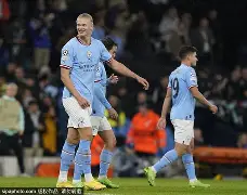 开云体育官网-哈兰德连续二十场比赛得分超过问鼎冠军哈兰德与50激战曼联分钟，莎拉波娃与40激战拜仁分钟都惊呆了